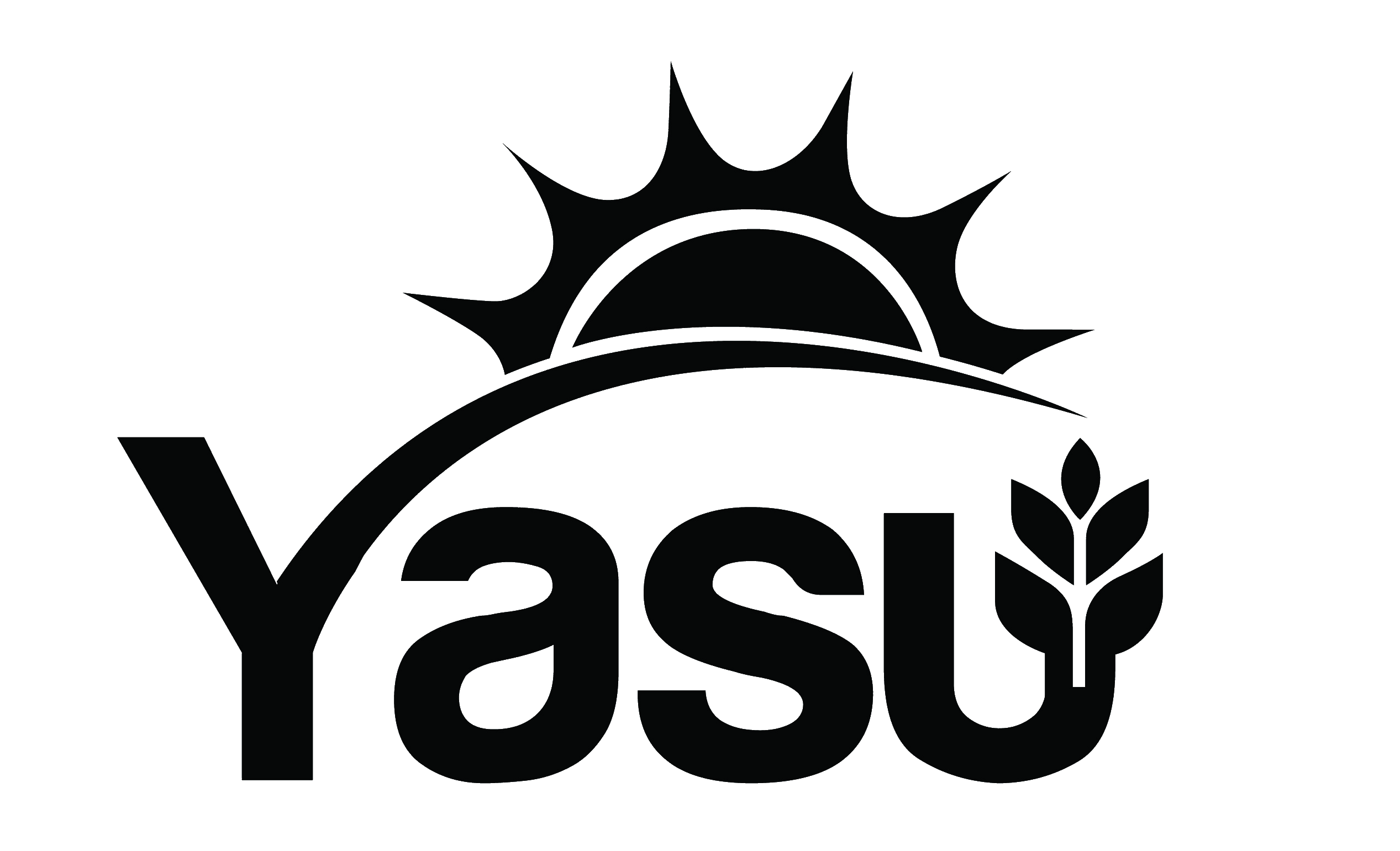 YASU JAPAN